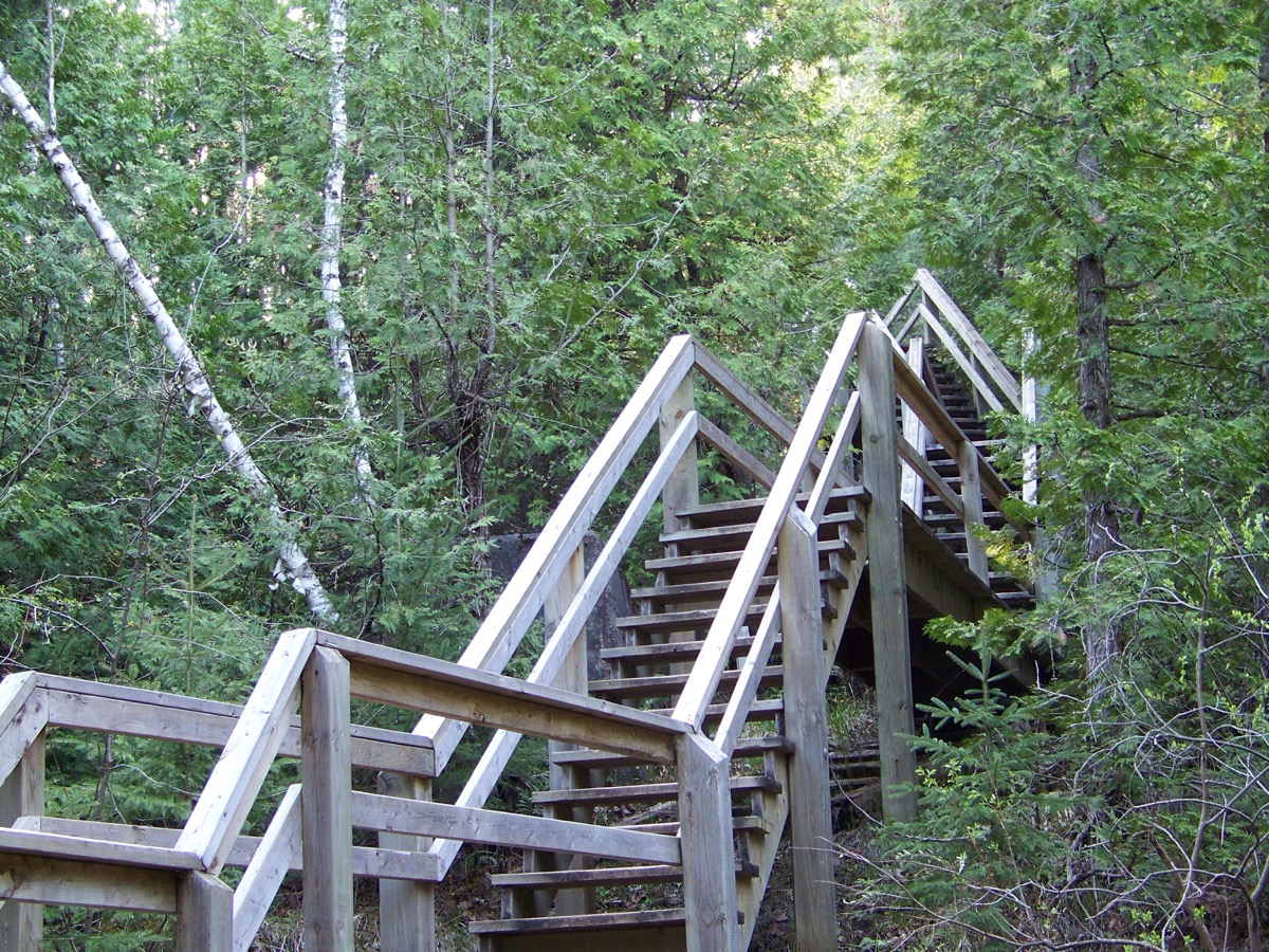 Forest trail stairs at Heber Down Conservation Area